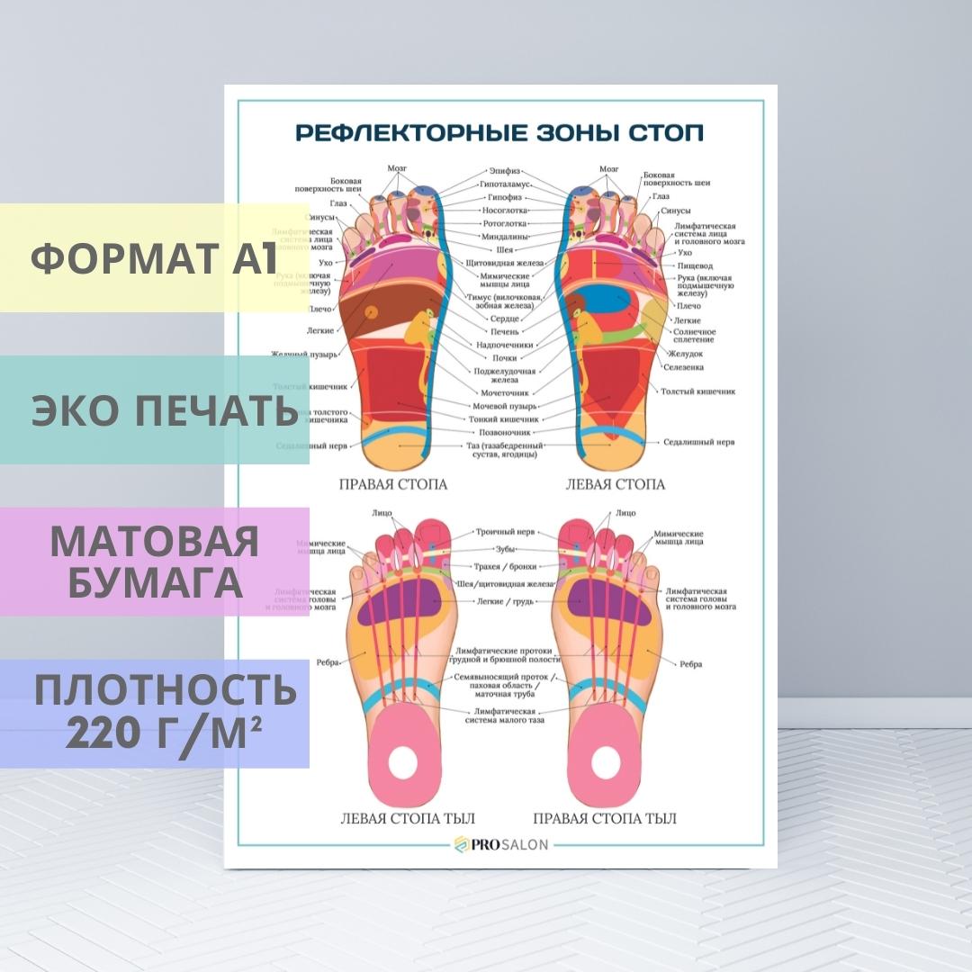 Рефлекторная карта стопы инструкция кратко